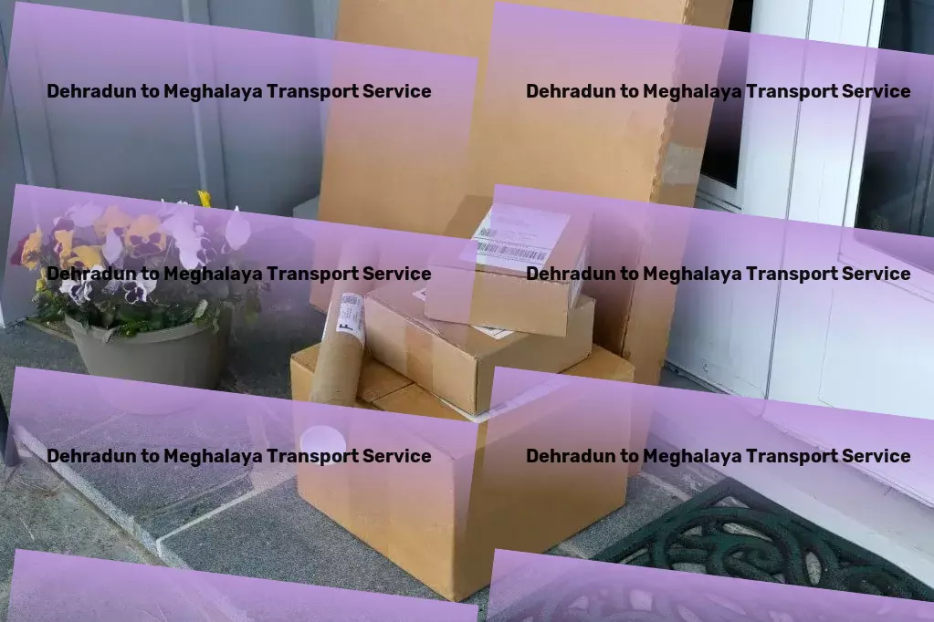 Dehradun to Meghalaya Transport Professional package delivery