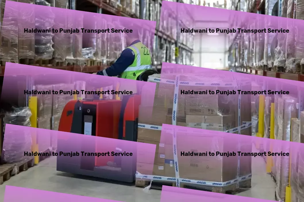 Haldwani to Punjab Transport Dedicated parcel transport