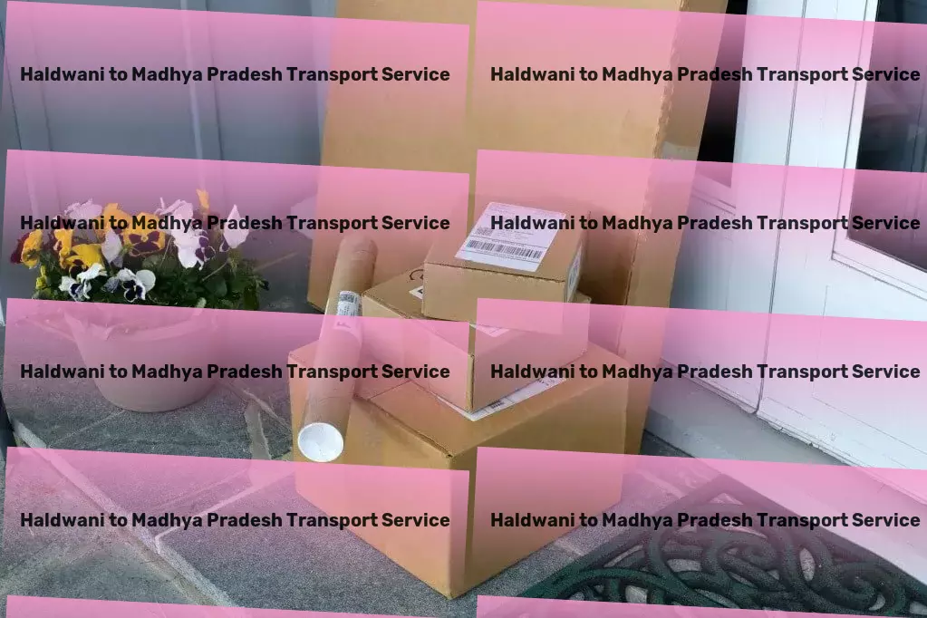 Haldwani to Madhya Pradesh Transport Making travel accessible and affordable for all! - Wholesale transport services