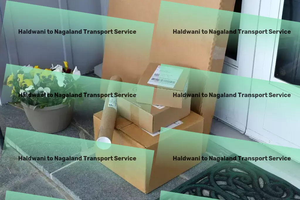 Haldwani to Nagaland Transport Changing the face of daily commutes with innovation and dedication! - Nationwide packers and movers