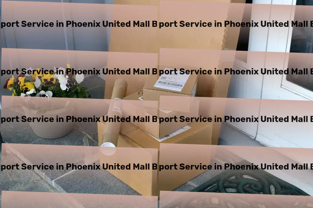 Courier And Parcel in Phoenix United Mall Bareily, Uttar Pradesh (UP) Long-distance logistics