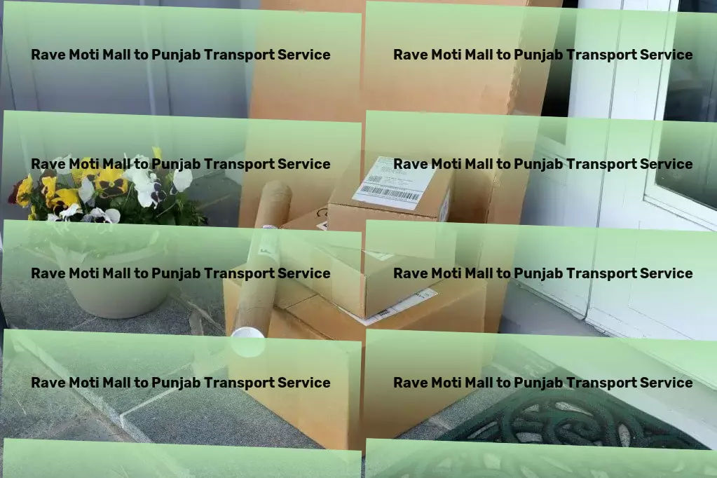 Rave Moti Mall to Punjab Transport Customized cargo dispatch