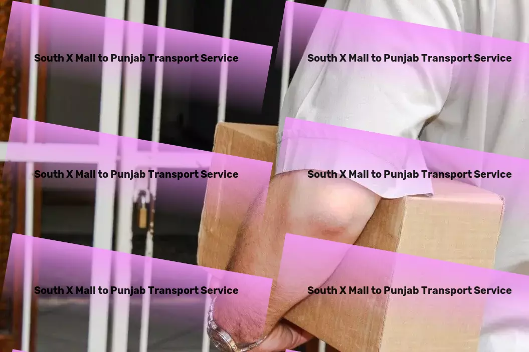 South X Mall to Punjab Transport Transport delivery services