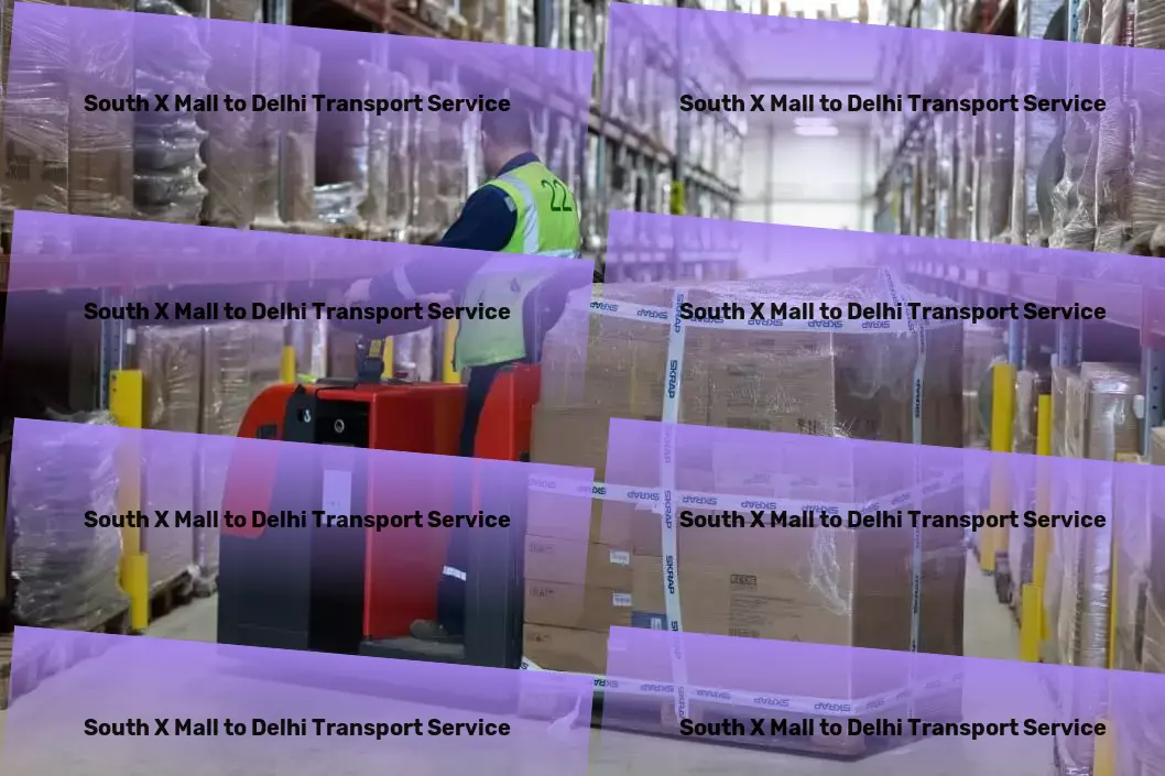 South X Mall to Delhi Transport Specialized shipping services